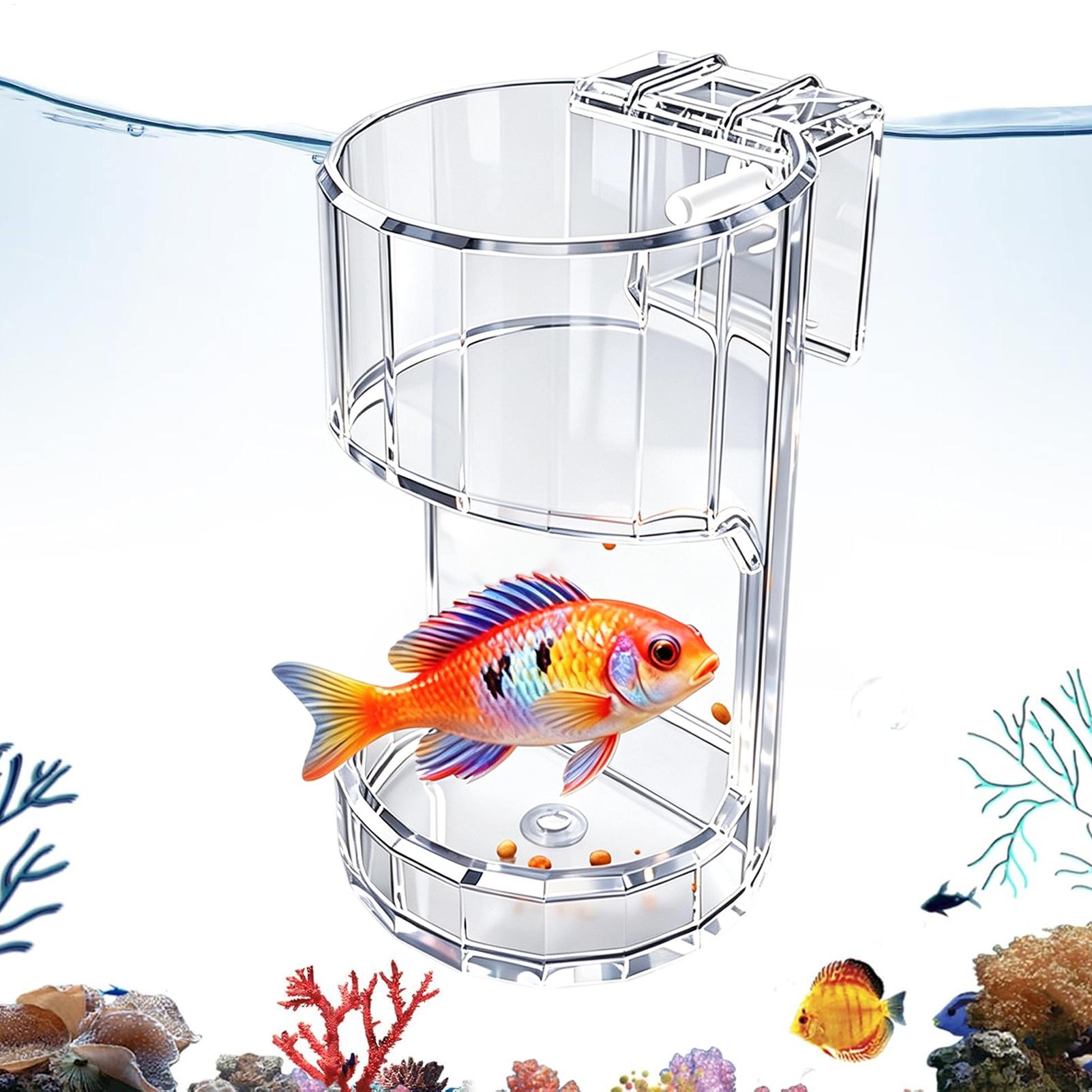 Food Storage In Room - Aquarium Feeding Dish Transparent Food Bowl
