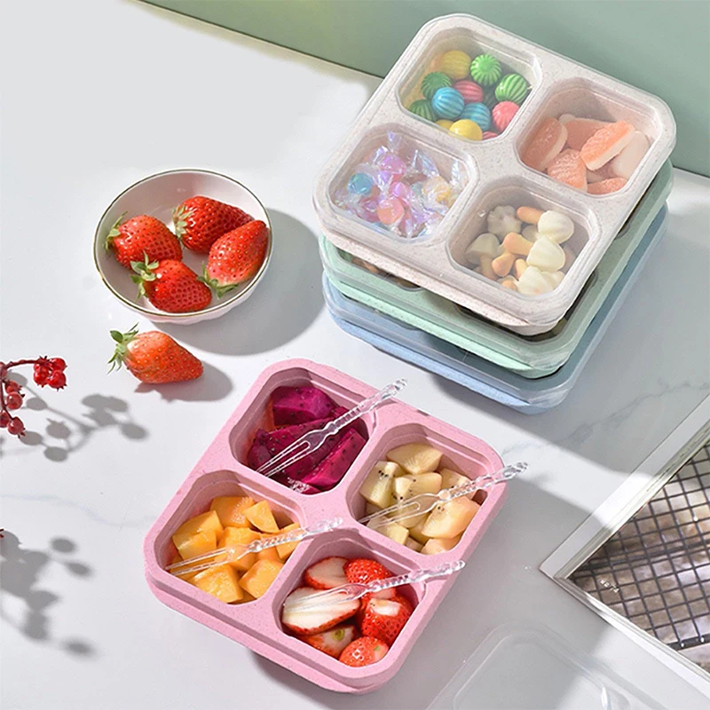 Food Storage Plastic Boxes - 4 Grids Food Storage Box Portable