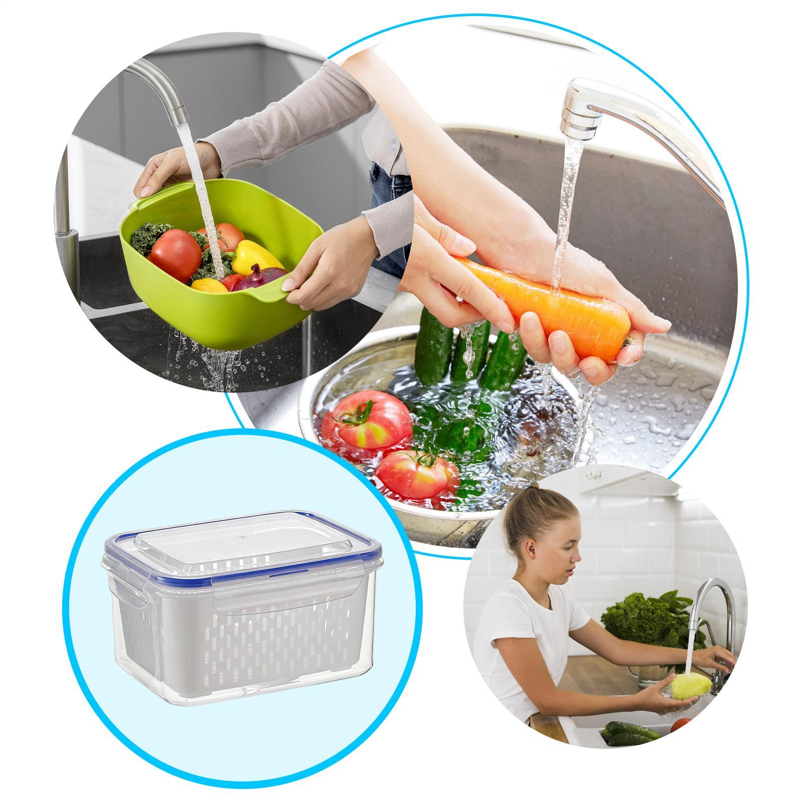 4 In 1 Food Storage Container  - Food Storage With Colander review and price