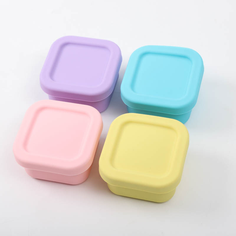Sealed Silicone Lunch Box for  - Food Storage Safety review and price