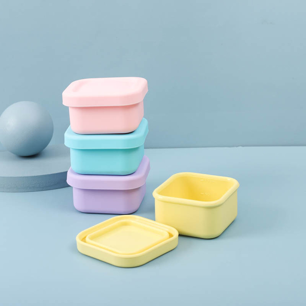 Sealed Silicone Lunch Box for  - Food Storage Safety review and price