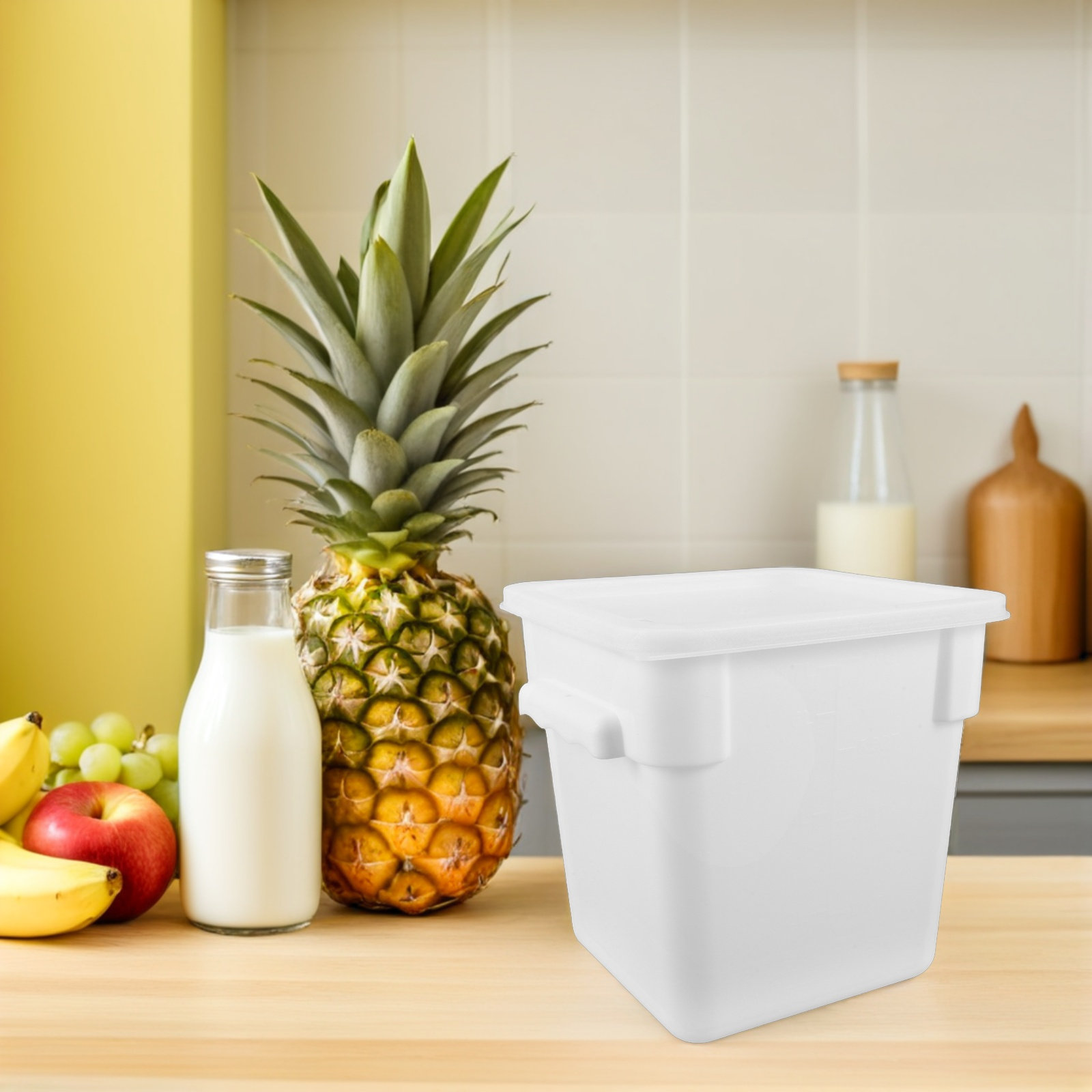 Square Plastic Food Storage Co - Food Storage And Organizer review and price