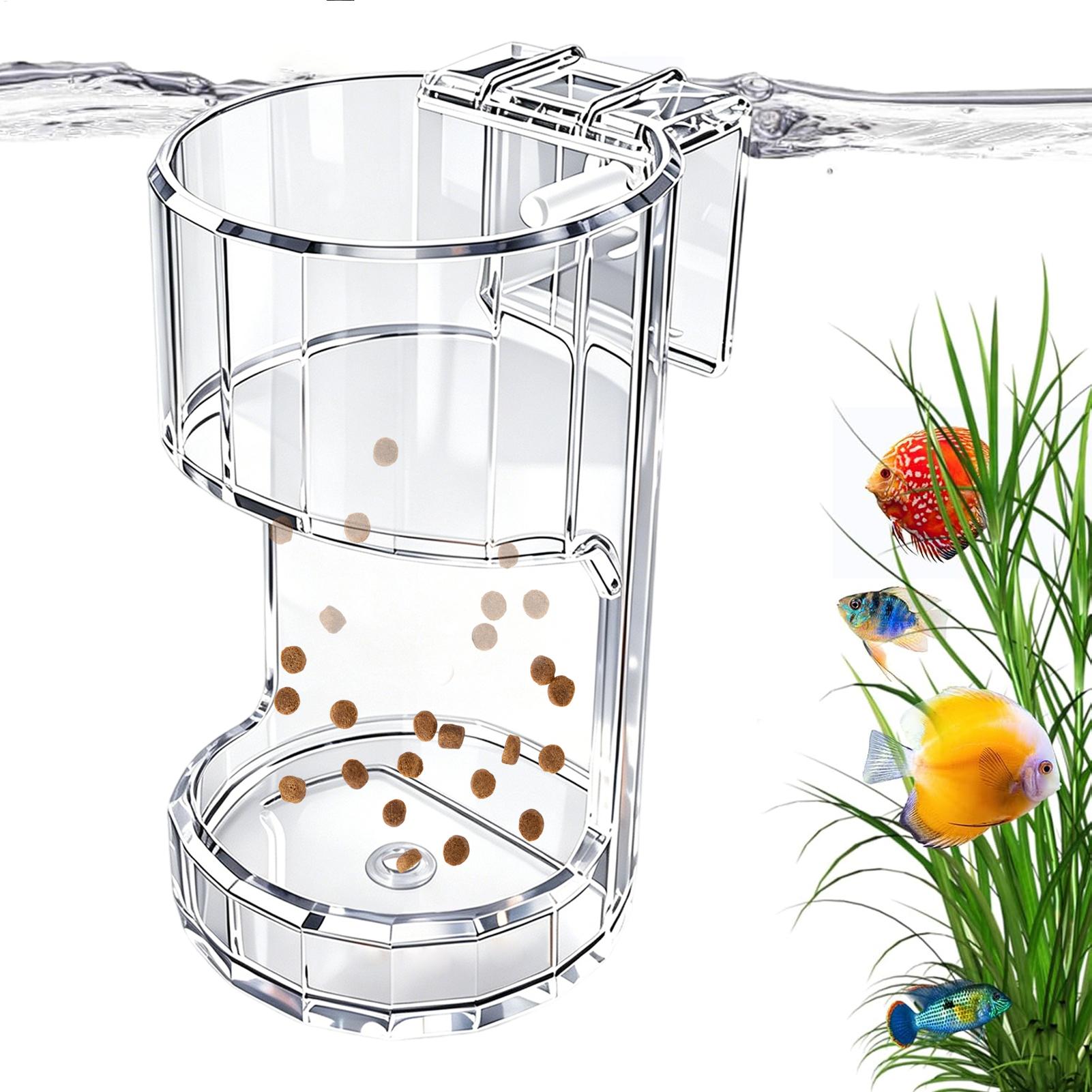 Aquarium Feeding Dish Transpar - Food Storage In Room review and price