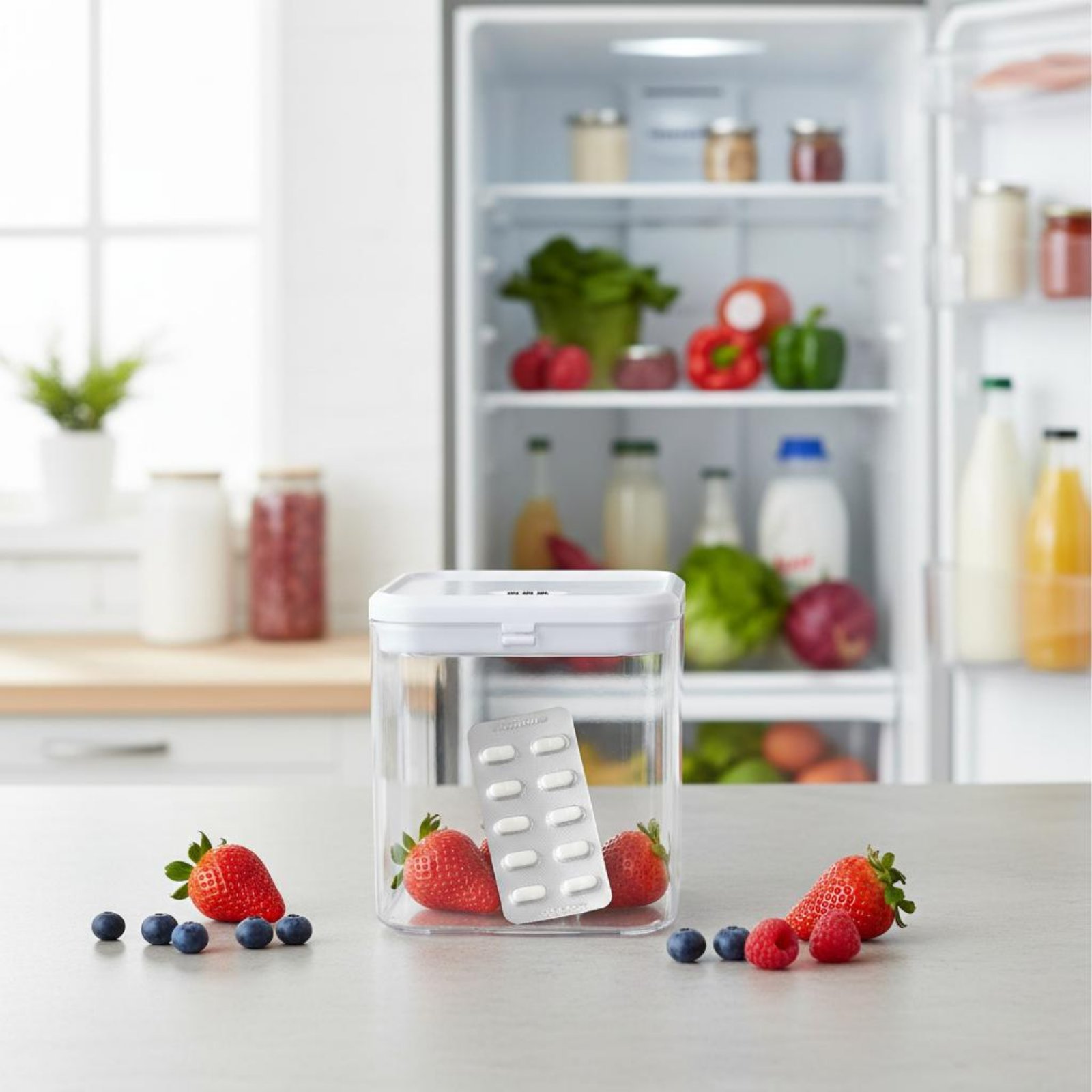 Clear Lockable Box Versatile L - Food Storage For review and price