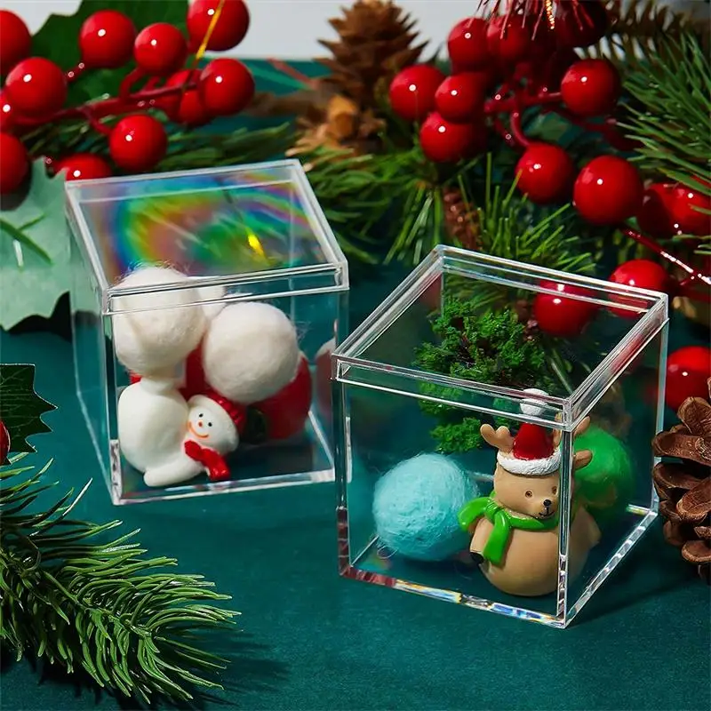 12 PCS Transparent Acrylic Box - Food Storage With Dividers review and price