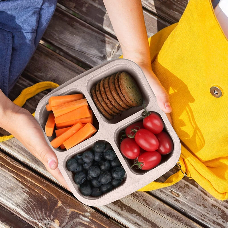 4 Grids Food Storage Box Porta - Food Storage Plastic Boxes review and price