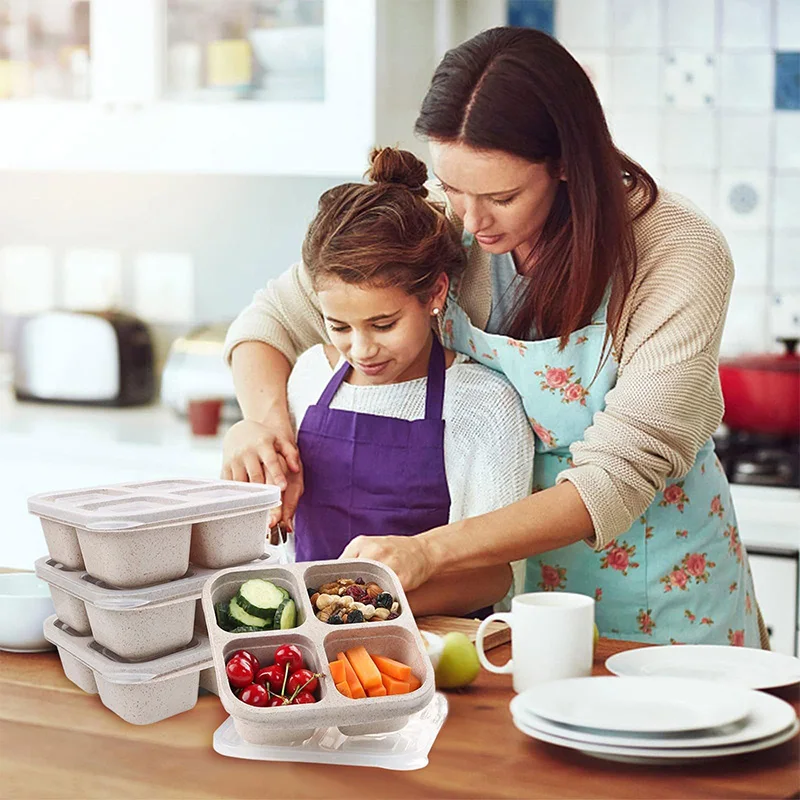 4 Grids Food Storage Box Porta - Food Storage Plastic Boxes review and price