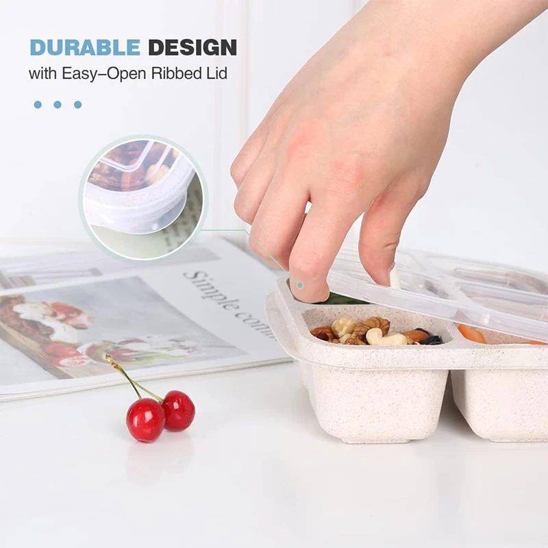 4 Grids Food Storage Box Porta - Food Storage Plastic Boxes review and price
