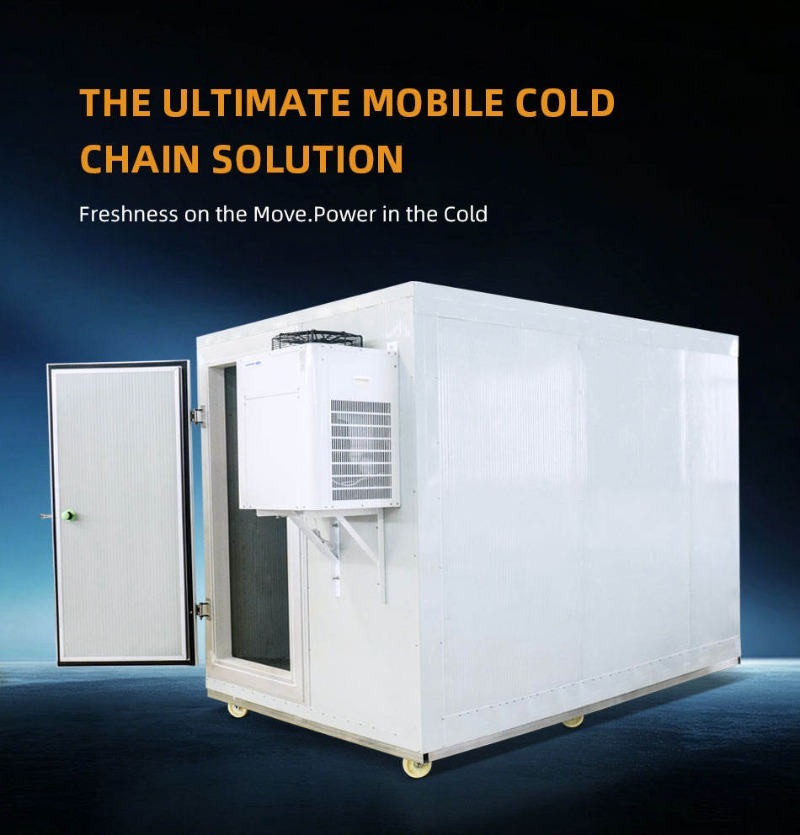 Portable Mobile Freezer Room W - Food Storage In Room review and price